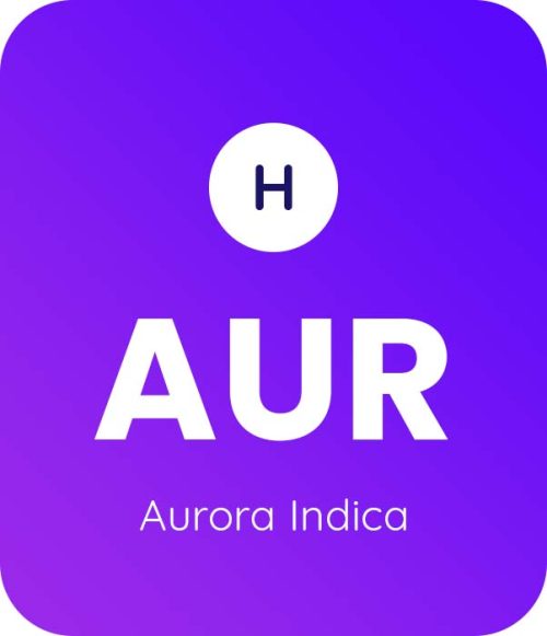 Aurora Indica