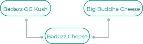 Badazz-Cheese