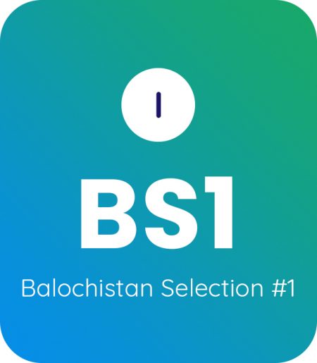 Balochistan Selection #1