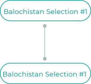 Balochistan-Selection-1