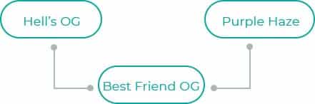 Best-Friend-OG