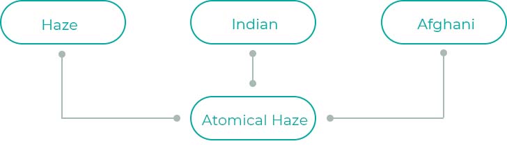 Atomical-Haze