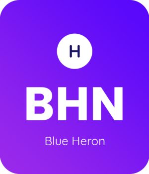 Blue-Heron-1