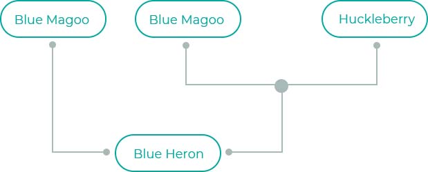 Blue-Heron