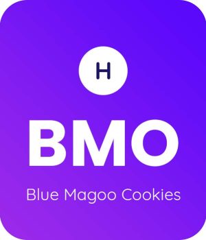 Blue-Magoo-Cookies-1