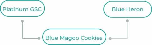 Blue-Magoo-Cookies