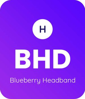 Blueberry-Headband-1