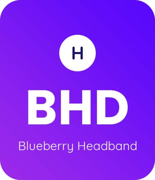 Blueberry-Headband-1