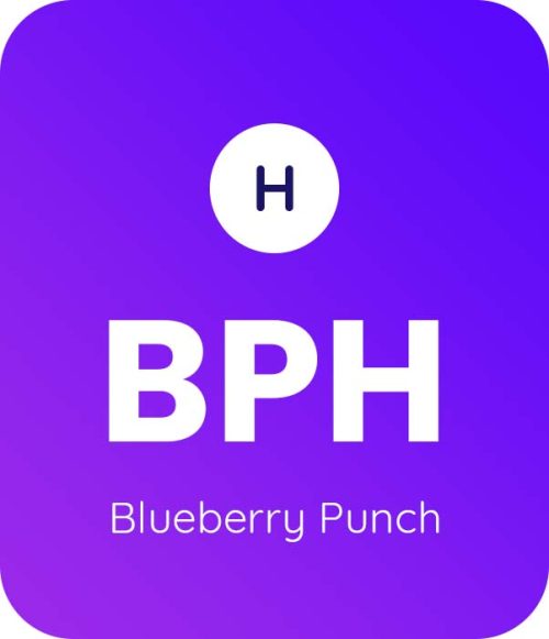 Blueberry Punch