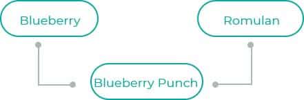 Blueberry-Punch