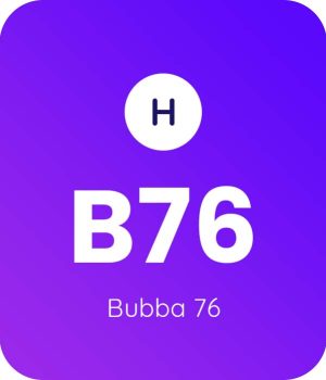 Bubba-76-1