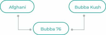 Bubba-76