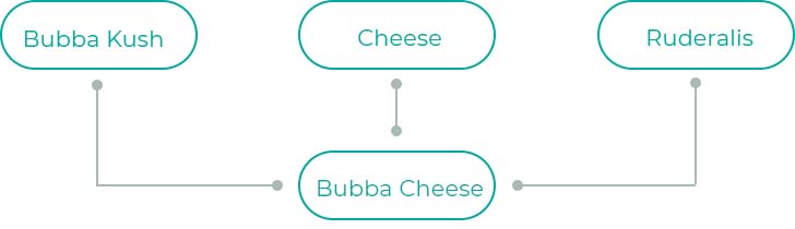 Bubba-Cheese