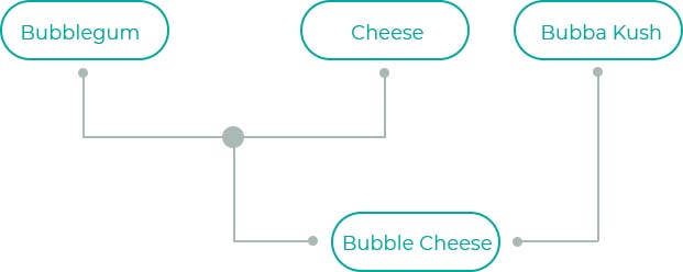 Bubble-Cheese