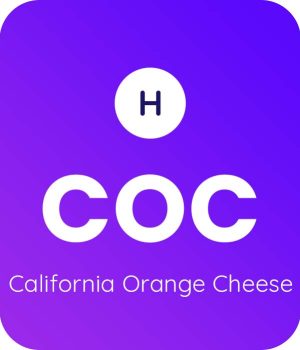 California-Orange-Cheese-1
