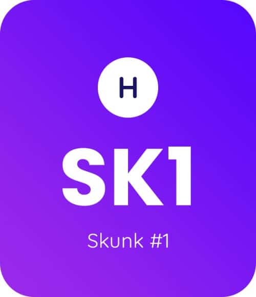 Skunk #1