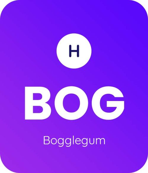 Bogglegum-1