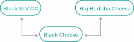 Black-Cheese