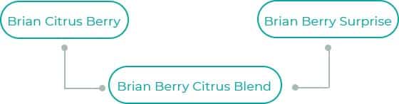 Brian-Berry-Citrus-Blend