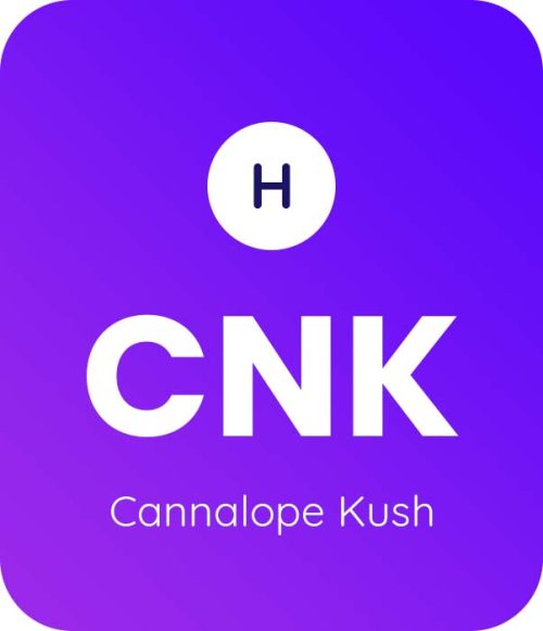 Cannalope-Kush-1