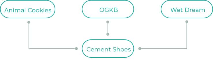 Cement-Shoes