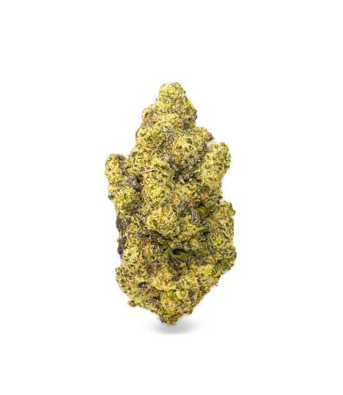 Big Buds Revisions (1 Of 14) Gmo