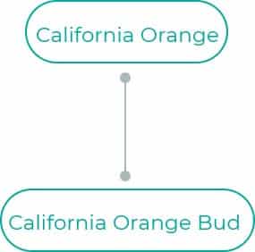 California-Orange-Bud