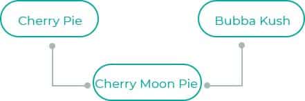 Cherry-Moon-Pie