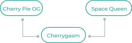 Cherrygasm