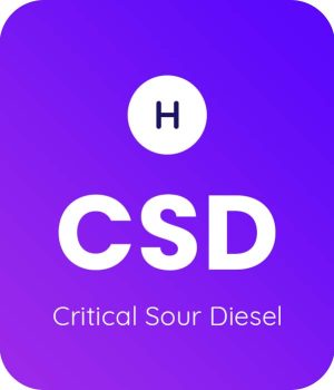 Critical-Sour-Diesel-1