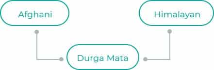 Durga-Mata