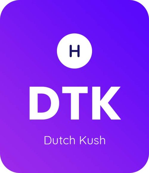 Dutch Kush