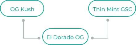 El-Dorado-OG