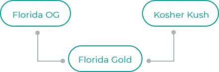 Florida-Gold