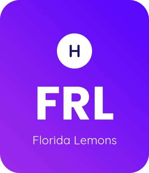 Florida Lemons