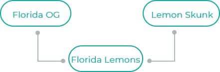 Florida-Lemons