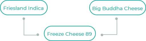 Freeze-Cheese-89