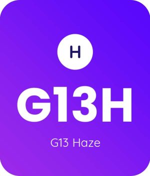 G13-Haze-1