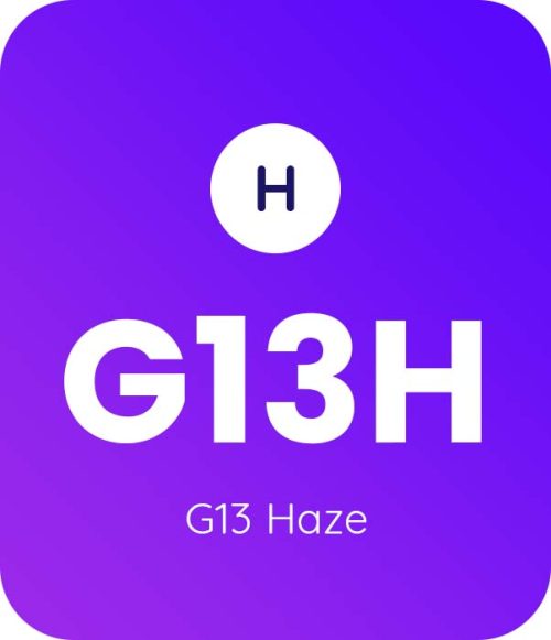 G13 Haze