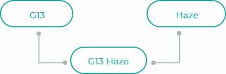G13-Haze