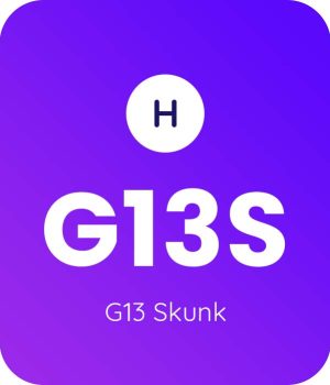 G13-Skunk-1