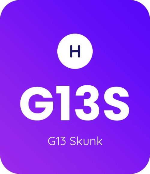 G13 Skunk