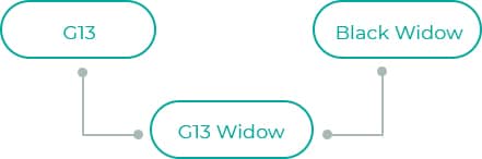 G13-Widow