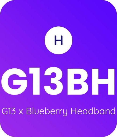 G13-x-Blueberry-Headband-1