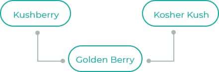 Golden-Berry