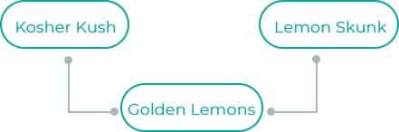 Golden-Lemons