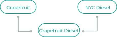 Grapefruit-Diesel