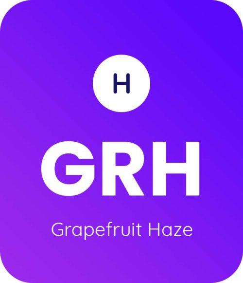 Grapefruit-Haze-1
