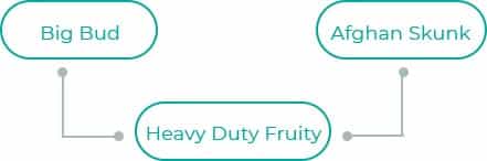 Heavy-Duty-Fruity