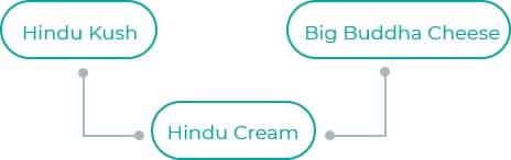 Hindu-Cream